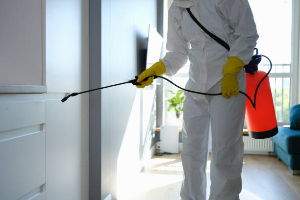 Best HVAC Mold Remediation in Timpson, TX