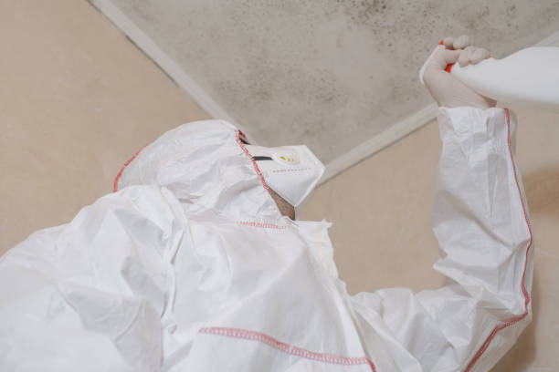 Best Residential Mold Remediation in Timpson, TX
